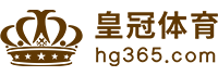 Logo 凯发k8国际